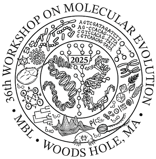 2025 t-shirt design