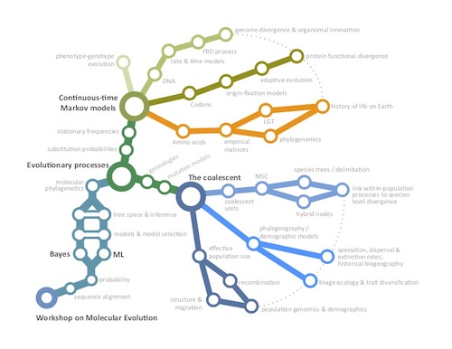 Workshop concept map